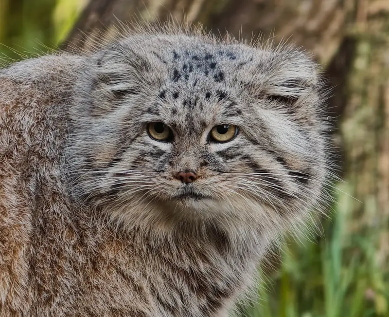Фотография Мануэля в Гданском Зоопарке