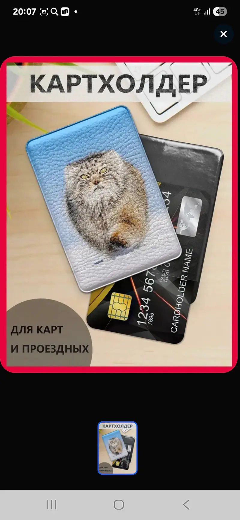 Фотография с манулом