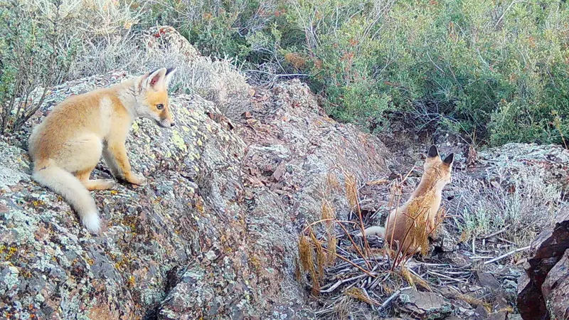 Жунды 3 [новинка]