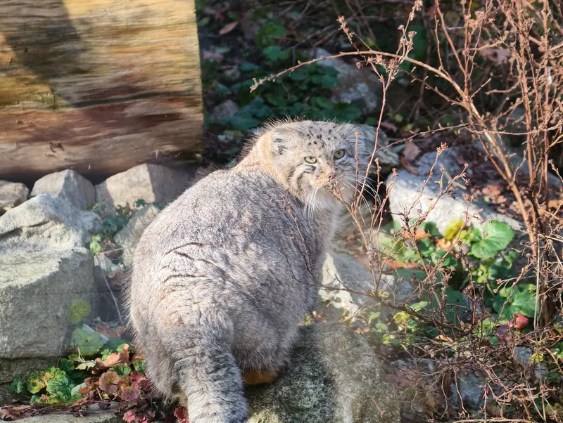 Фотография Зарины в Вроцлавском Зоопарке