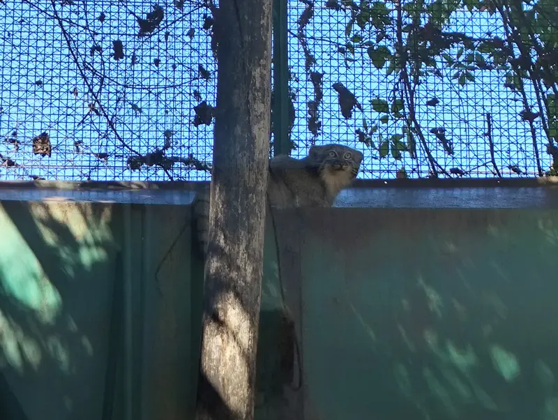Фотография Люси в Будапештском Зоопарке