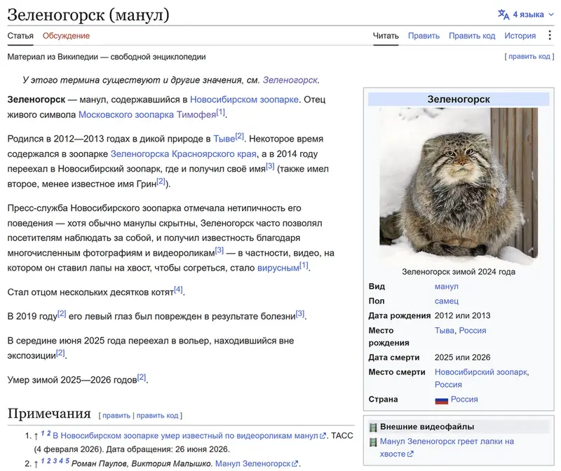 Фотография с манулом