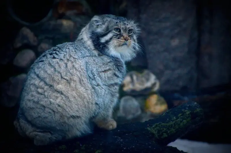 Фотография Вадима и Варвары в Московском Зоопарке