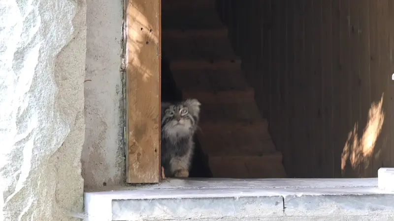 Новость дня