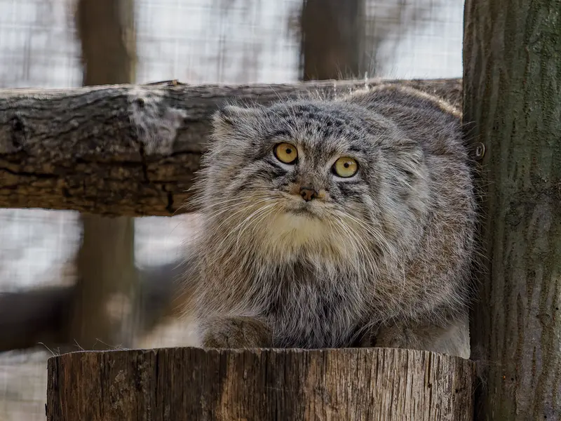 Фотография Ариуны в Зоопарке Брно