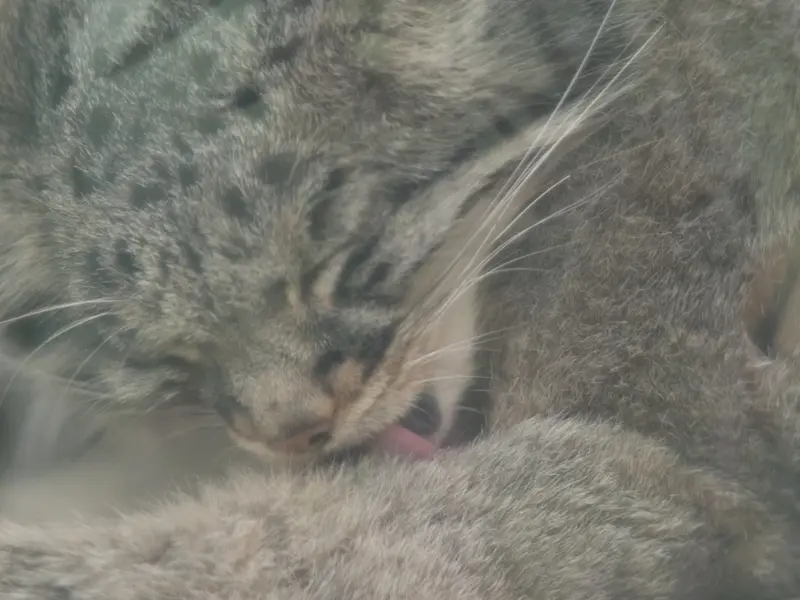 Фотография Мей в Царстве Животных Кобе