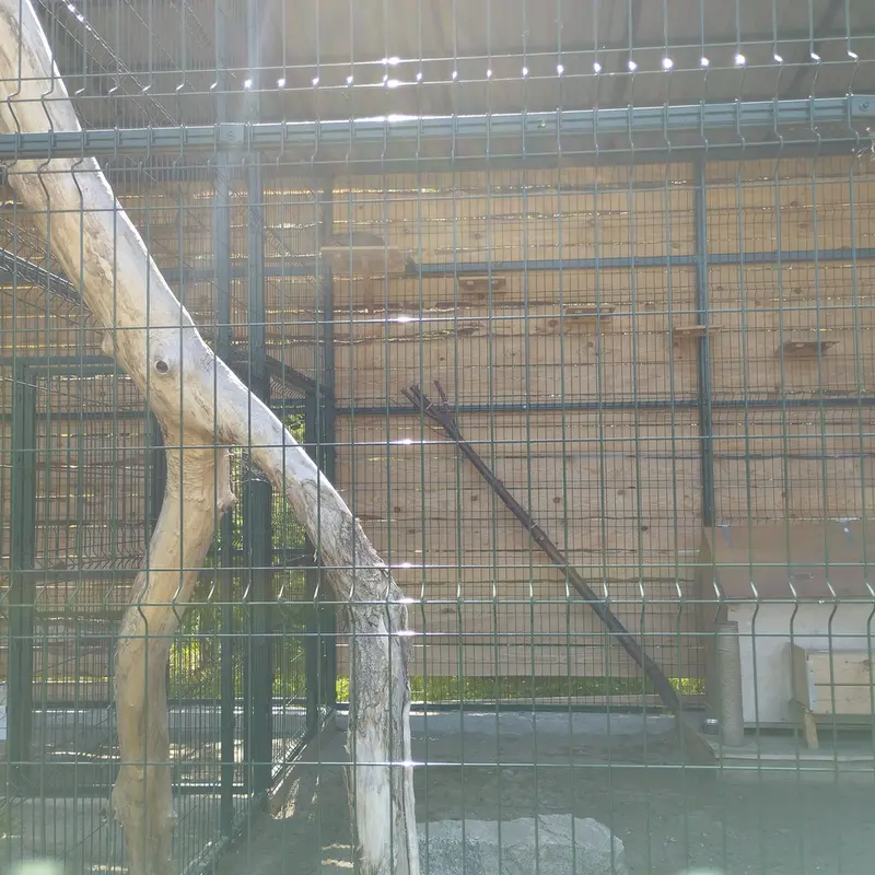 Фотография Чипа в Барнаульском Зоопарке «Лесная сказка»