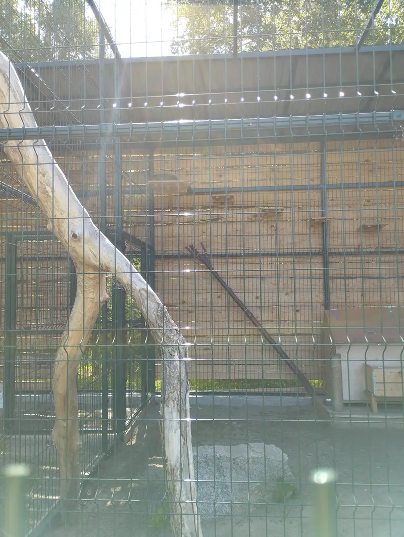 Фотография Чипа в Барнаульском Зоопарке «Лесная сказка»