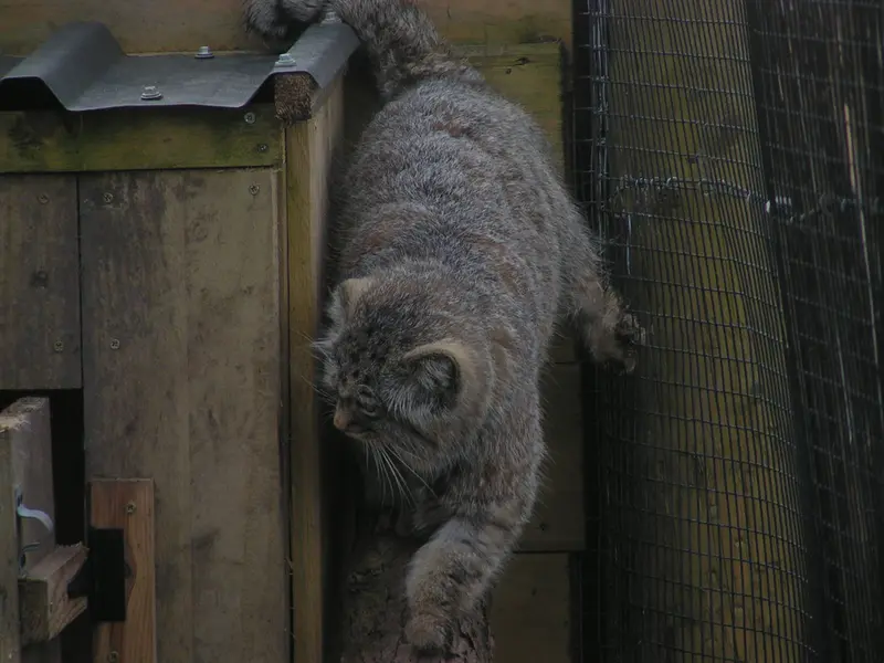 Фотография Алтая в Лэйклэнде Вайлдлайф Оазисе