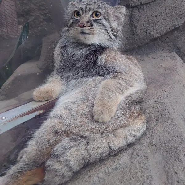 Фотография Теру в Царстве Животных Кобе