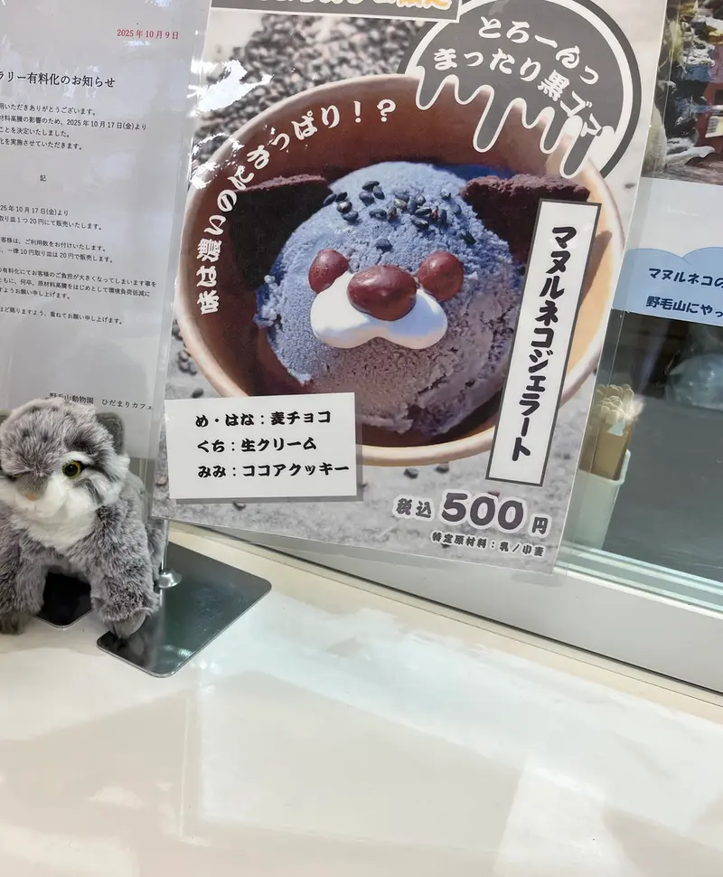 Фотография с манулом