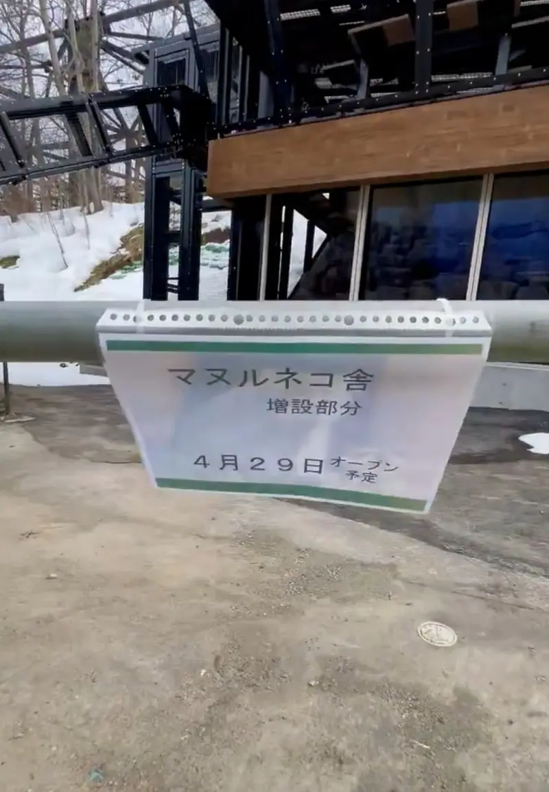 Фотография с манулом в Зоопарке Асахияма