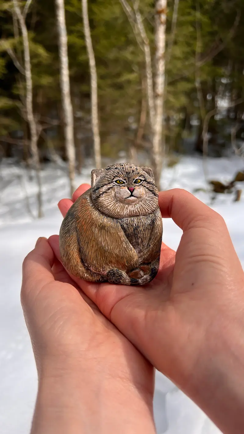 Фотография с манулом