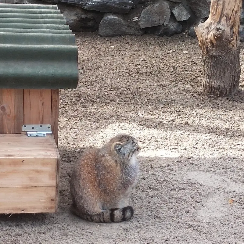 Фотография Ани в Новосибирском Зоопарке