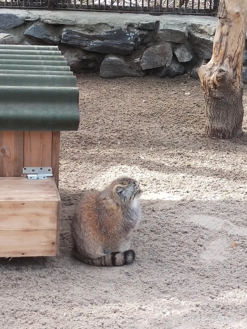 Фотография Ани в Новосибирском Зоопарке