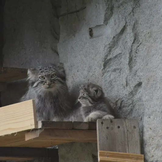 Фотография Варвары в Московском Зоопарке