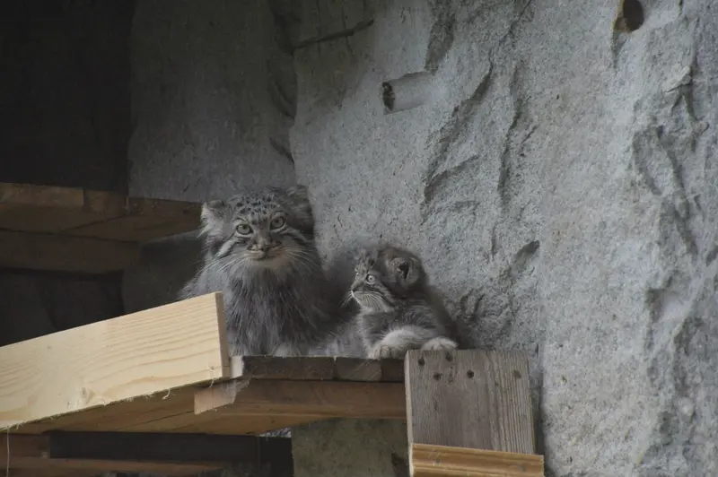 Фотография Варвары и Дарлая в Московском Зоопарке