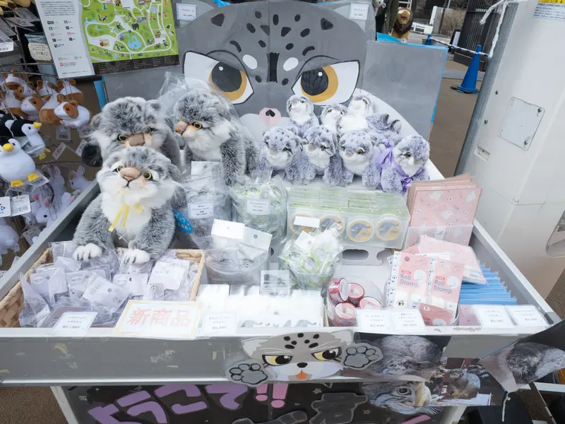 Фотография с манулом в Зоопарке Ногеяме