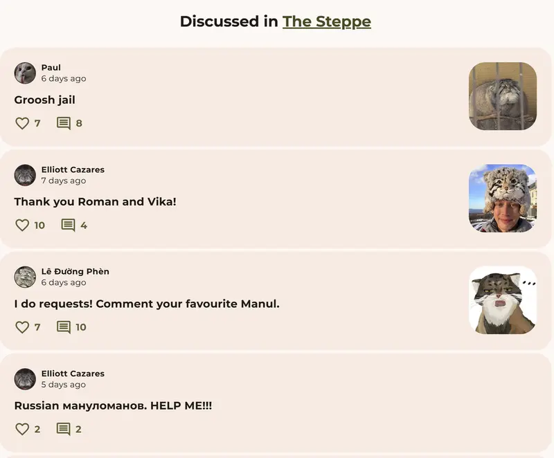 Фотография с манулом