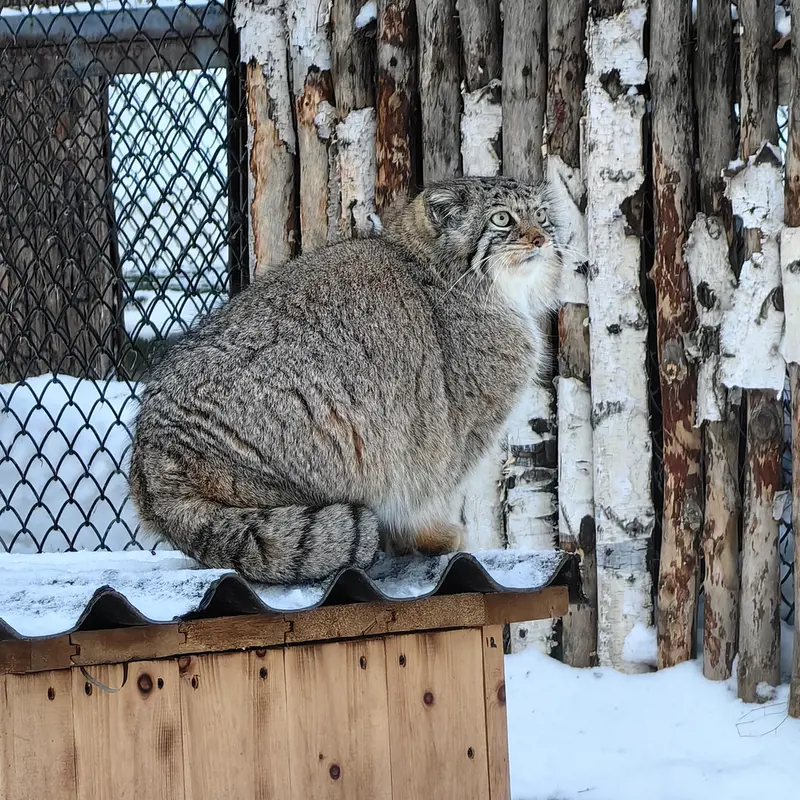 Фотография Евы в Новосибирском Зоопарке