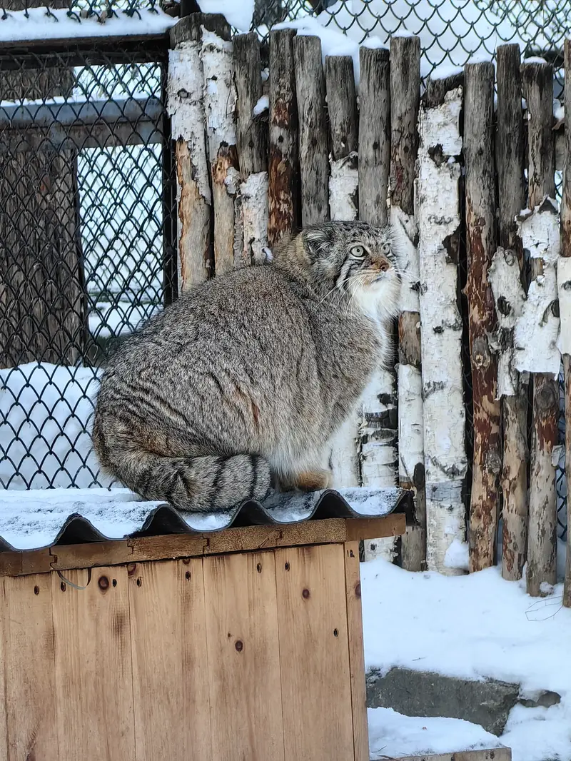 Фотография Евы в Новосибирском Зоопарке