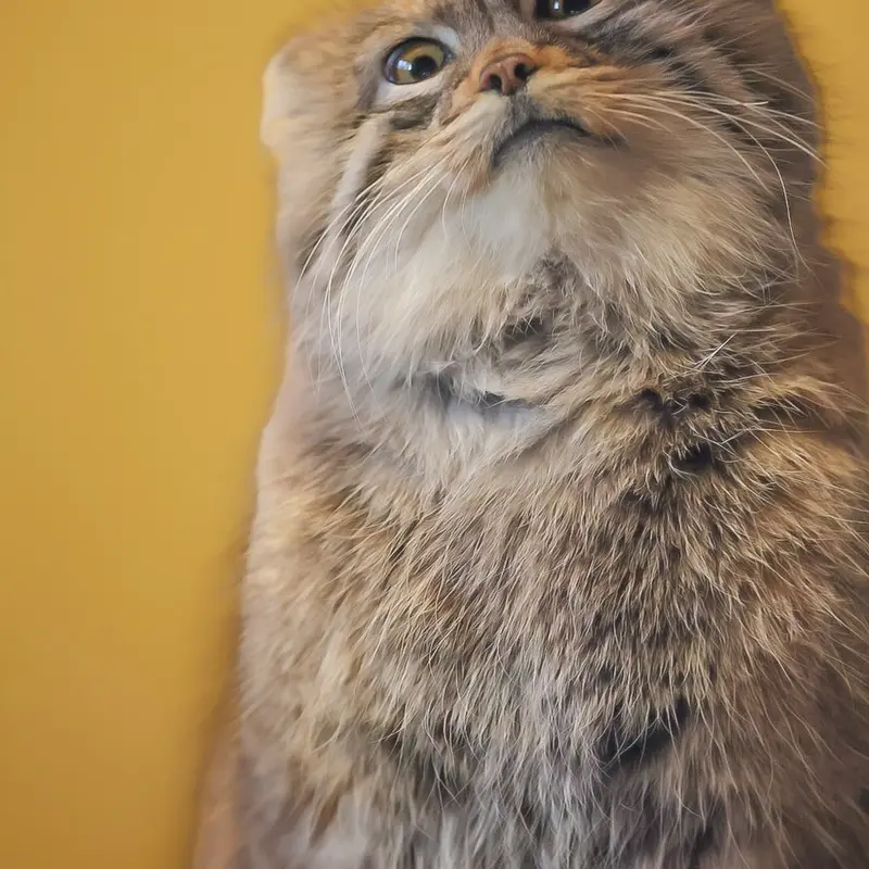 Фотография Оливы в Детском зоопарке Сайтама