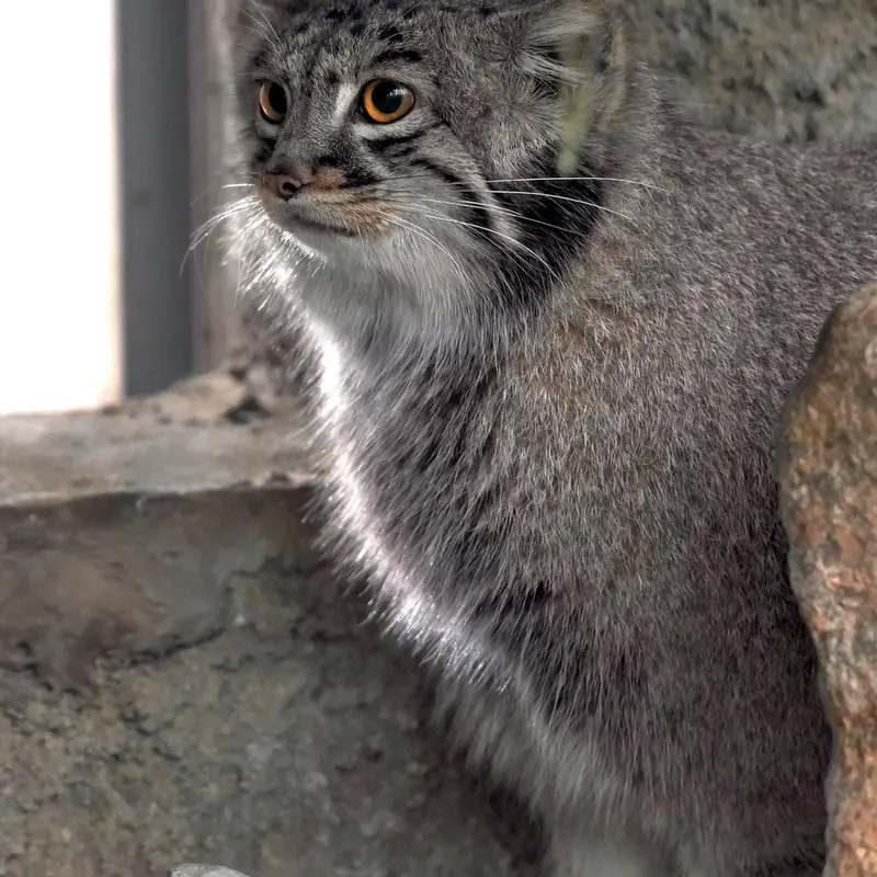 Фотография Мей в Царстве Животных Кобе