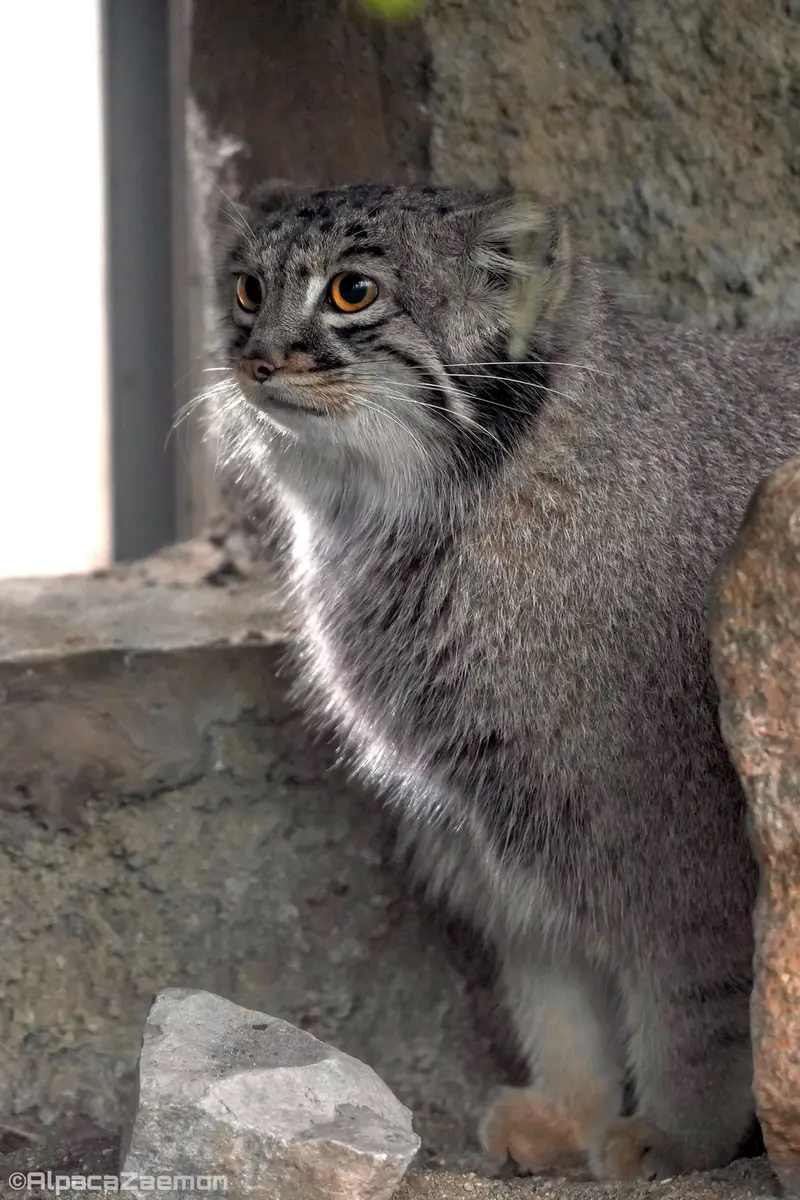 Фотография Мей в Царстве Животных Кобе