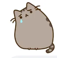 Фотография с манулом