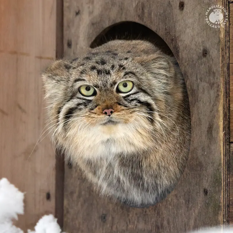 Фотография Ани в Новосибирском Зоопарке