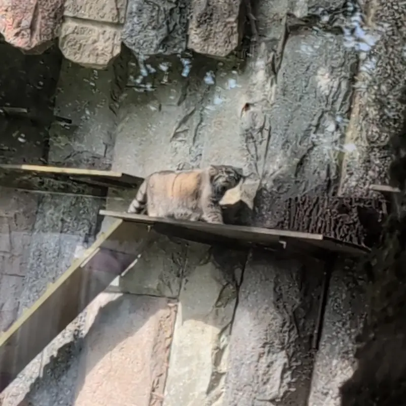 Фотография Тимофея в Московском Зоопарке