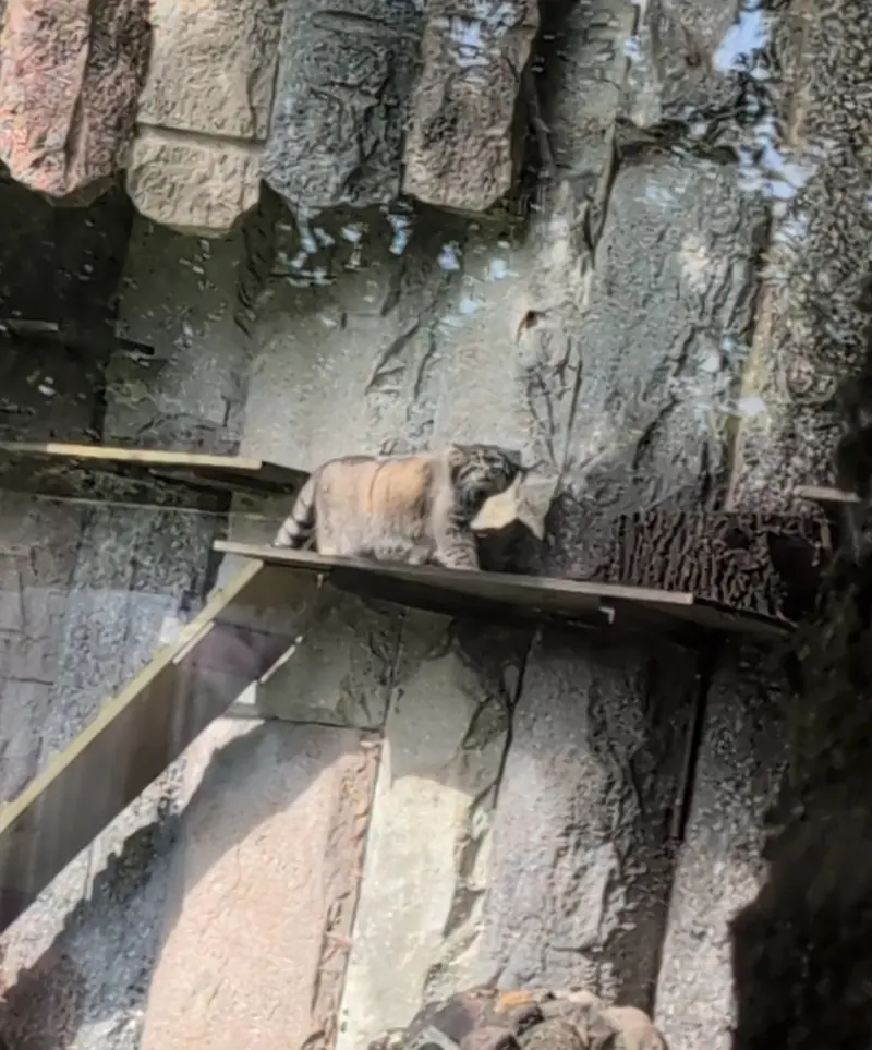 Фотография Тимофея в Московском Зоопарке