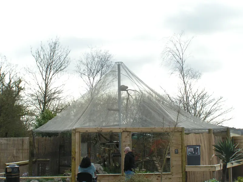 Фотография с манулом