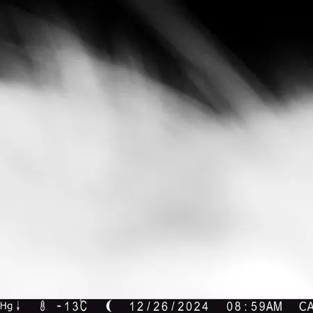 Фотография Сибирского Манула с фотоловушки Жиланды