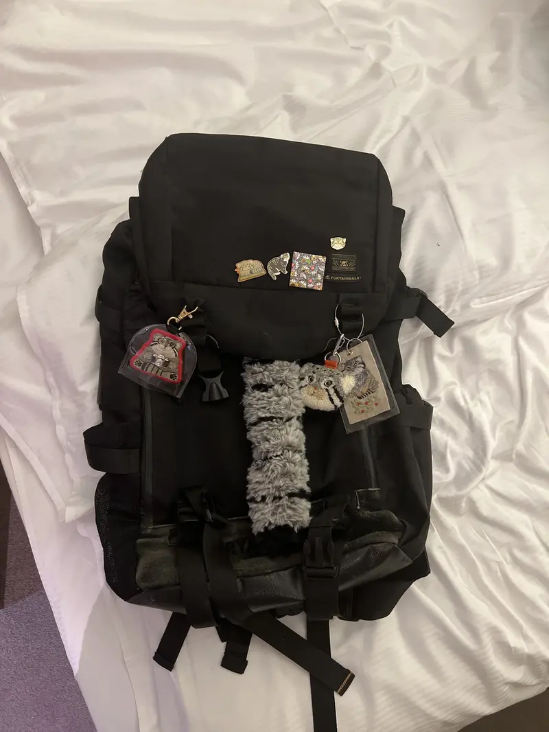 Фотография с манулом