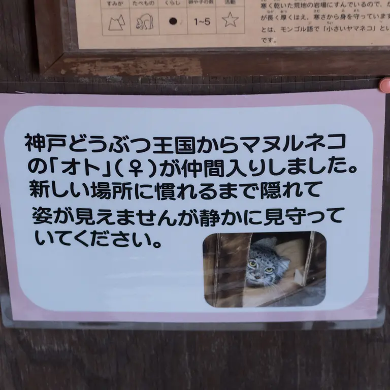 Фотография Ото в Детском зоопарке Сайтама