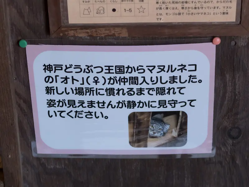 Фотография Ото в Детском зоопарке Сайтама