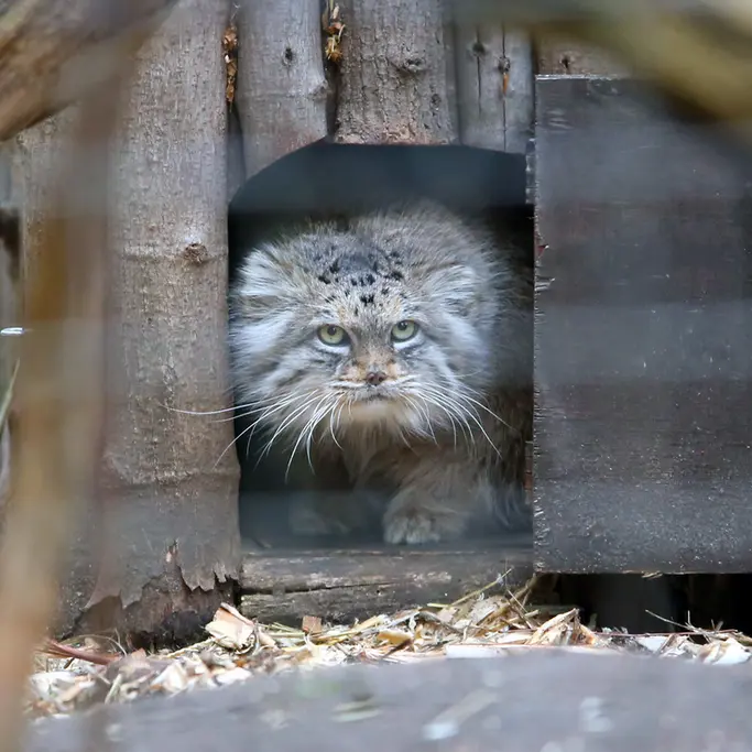 Фотография Джесси в Варшавском Зоопарке