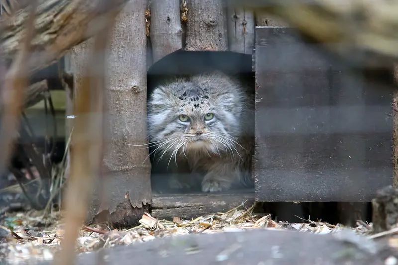 Фотография Джесси в Варшавском Зоопарке