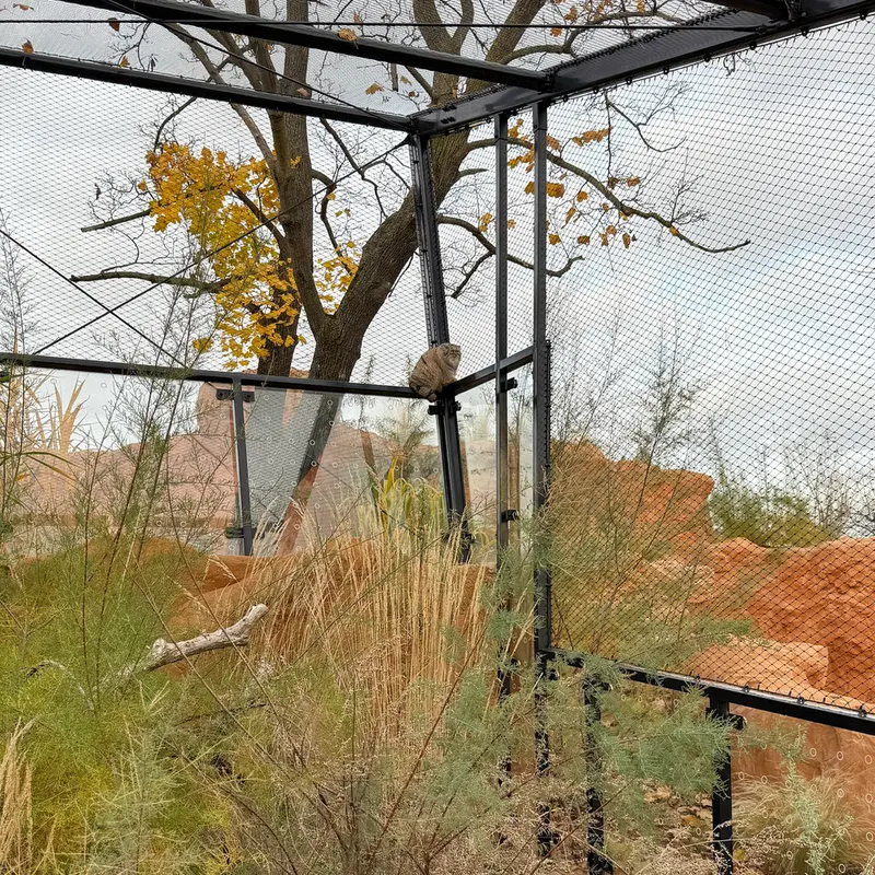 Фотография Принцессы в Пражском Зоопарке