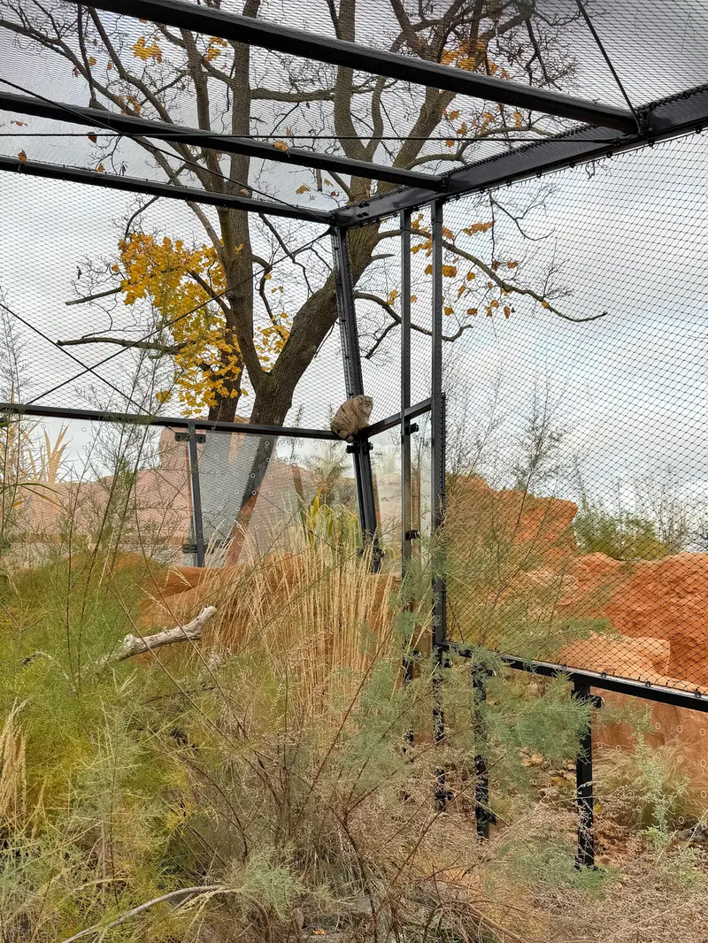 Фотография Принцессы в Пражском Зоопарке