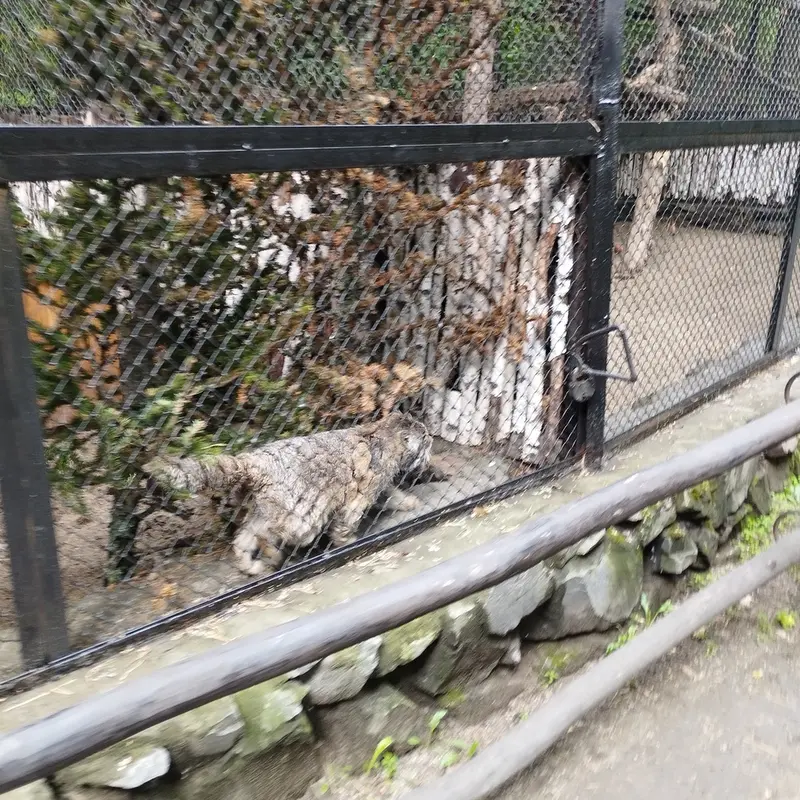 Фотография Зеленогорска в Новосибирском Зоопарке