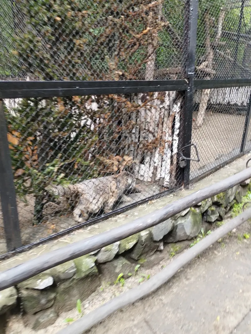 Фотография Зеленогорска в Новосибирском Зоопарке