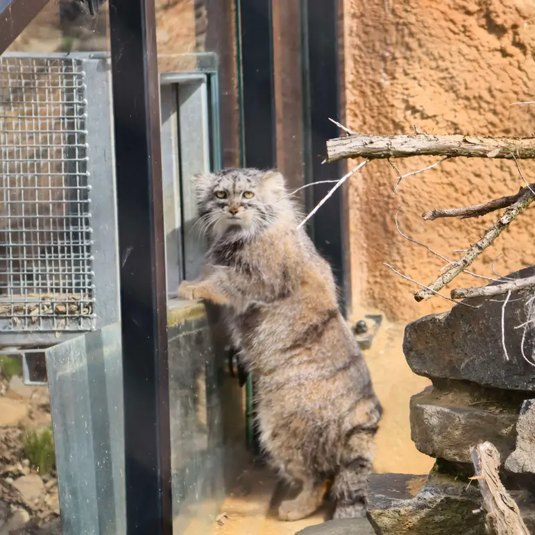 Фотография Принцессы в Пражском Зоопарке