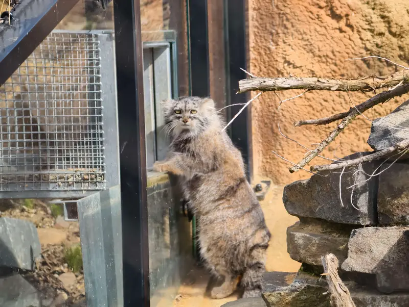 Фотография Принцессы в Пражском Зоопарке