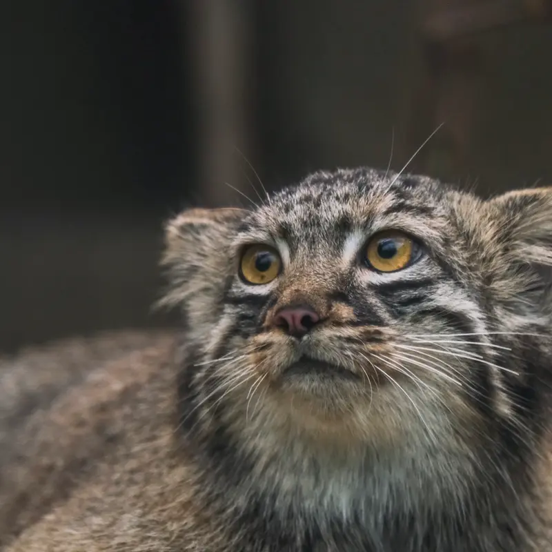 Фотография Мей в Царстве Животных Кобе