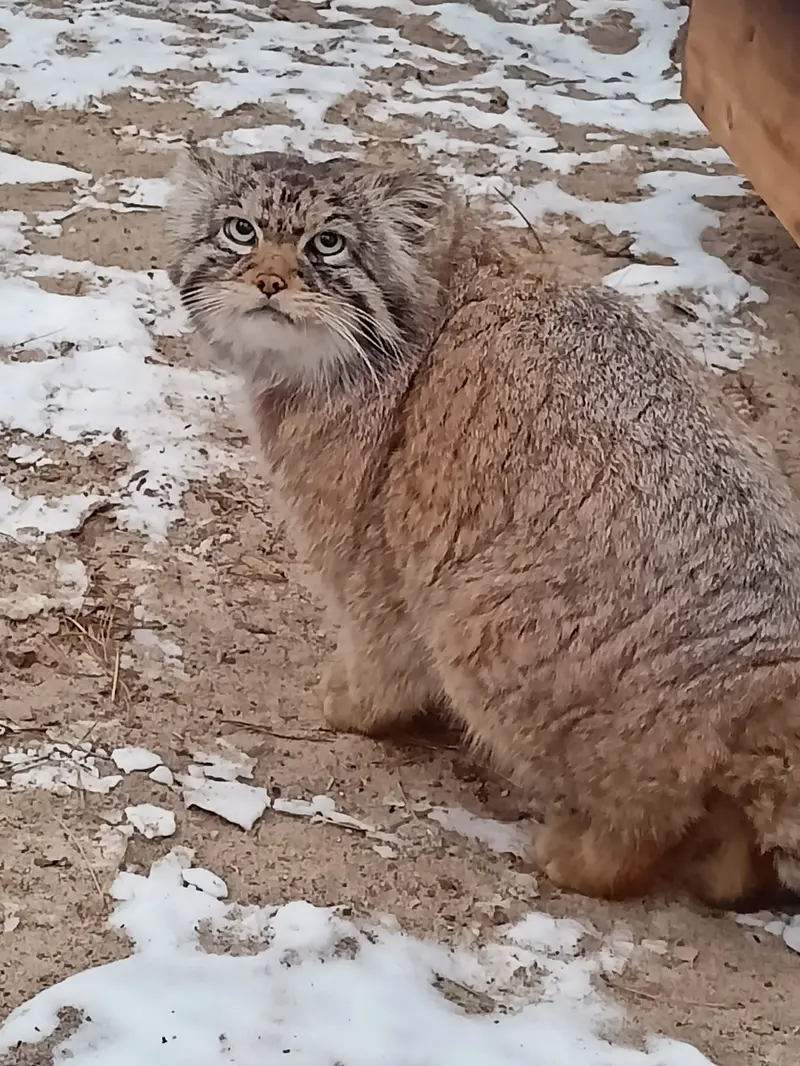Фотография Жоры в Новосибирском Зоопарке