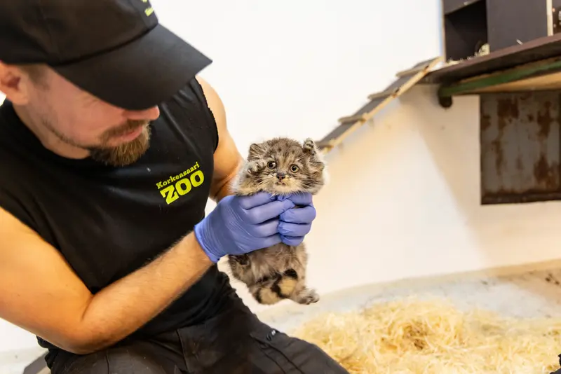 Фотография Принцессы в Зоопарке Коркеасаари