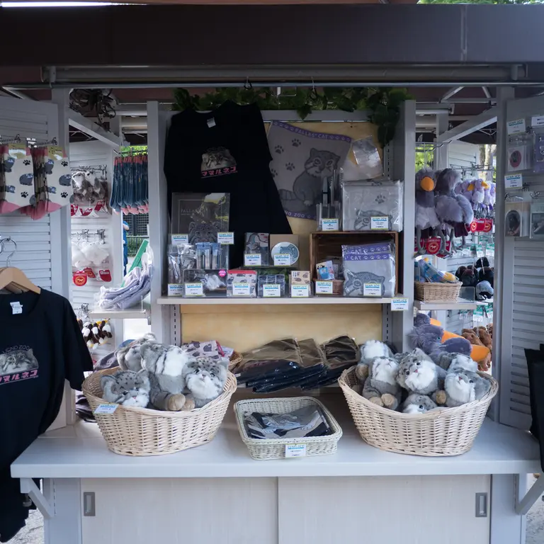 Фотография с манулом в Зоопарке Уено