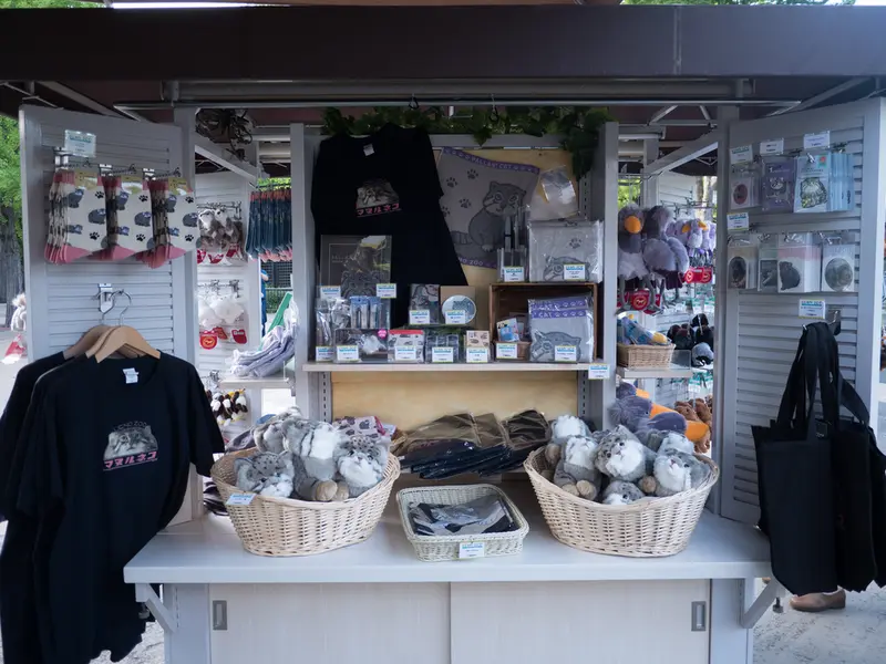 Фотография с манулом в Зоопарке Уено